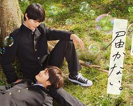 泛页面关键词2161